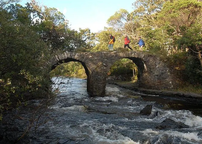 Casa de hóspedes 19th 3*