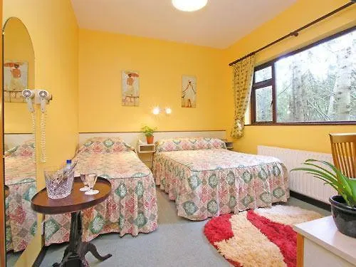 Casa de hóspedes 19th Fossa